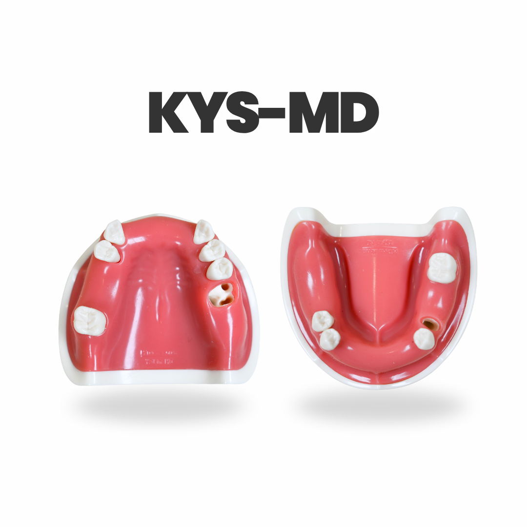 Implant Training Model Series by Dr. Youngsam Kim